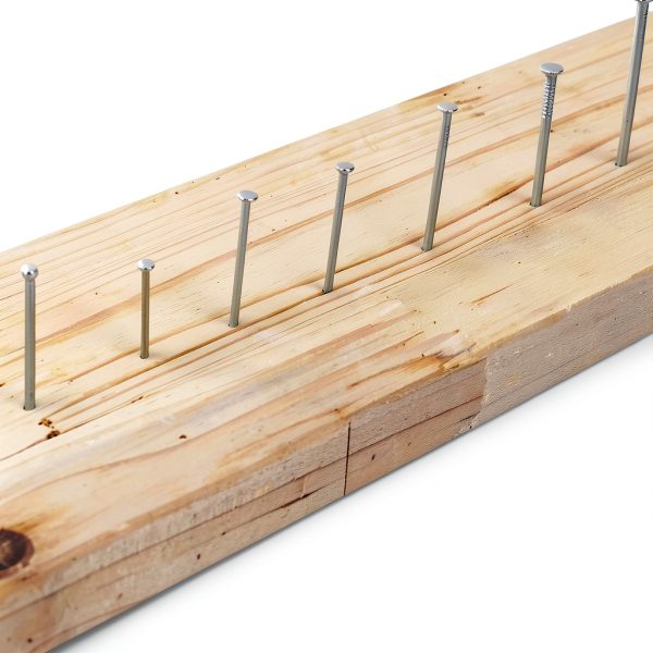 Hardware Nails Assortment Kit Wall Nails 4 Sizes Small Nails for Hanging Pictures Picture Hanging Nails Finishing Nails Wood Nails Assorted Nails Nail Assortment Kit for HOM DIY 280 Pcs-2